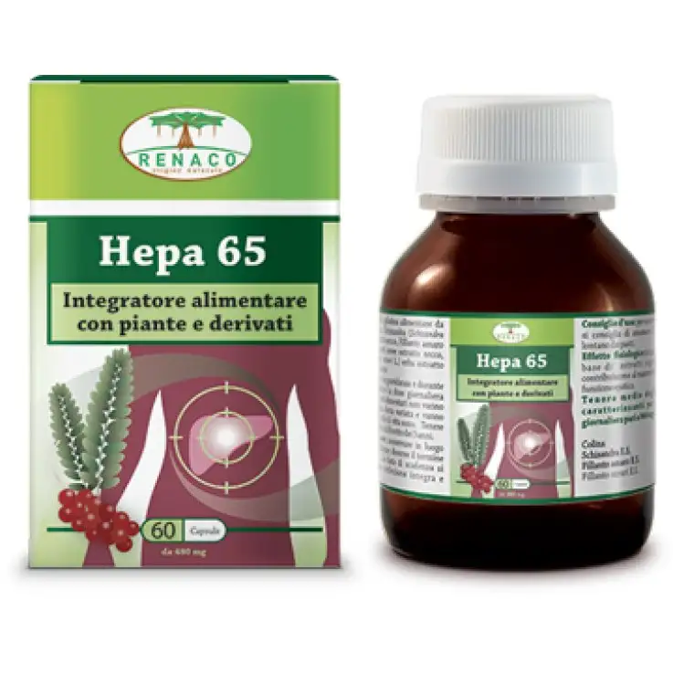 HEPA 65 60 Cps