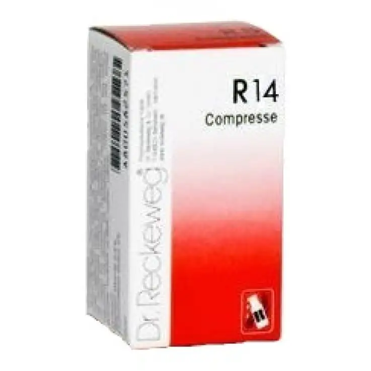 RECKEWEG R14 100 COMPRESSE