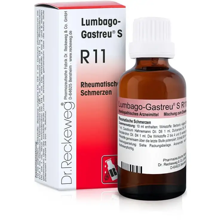RECKEWEG R11 GOCCE 22 ML