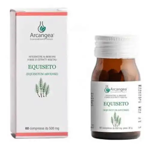 EQUISETO 60 CAPSULE 500 MG