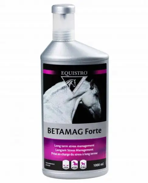 Betamag Forte Equistro Complesso In Forma Liquida Di Magnesio E Zinco Per Prestazioni Equini 1 Litro