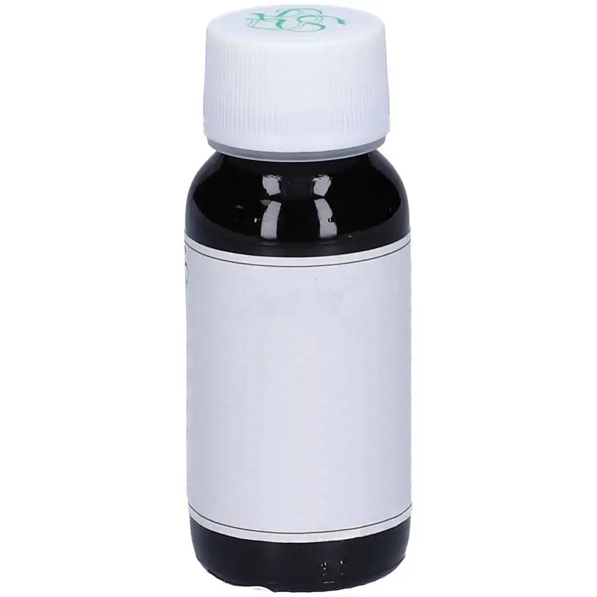 LVS 74S Eryngium Campestre Com