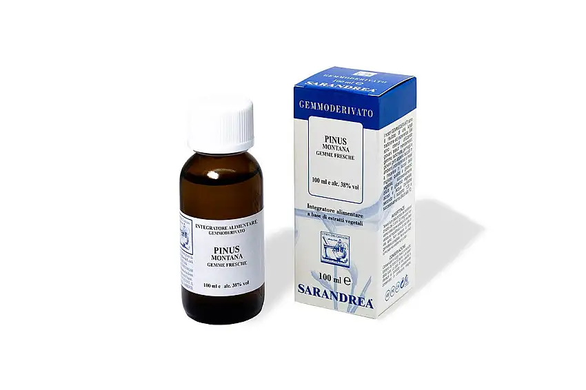 PINUS MONTANA MG 100ml