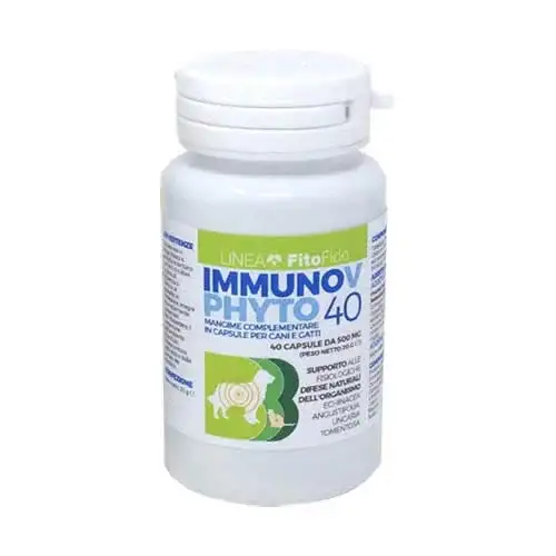 IMMUNOV PHYTO 40 40 CAPSULE
