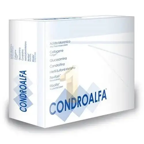 CONDROALFA 20 BUSTINE