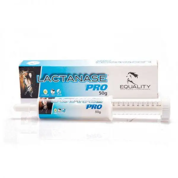 Lactanase Pro Pasta Orale Per Equini Sportivi Siringa 50g