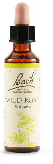 BACH 37 Wild Rose 20ml