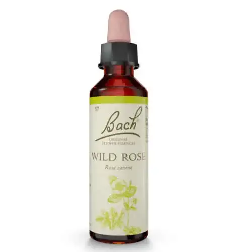 WILD ROSE BACH ORIG 20 ML
