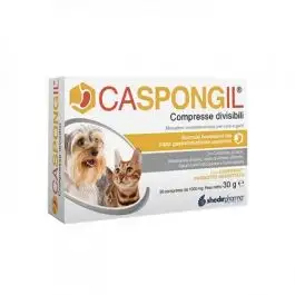 CASPONGIL 30 Cpr