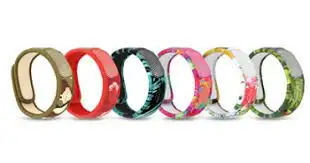 PARAKITO EFAS BRACC GRAF JUN P