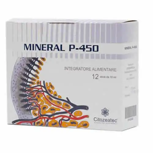 MINERAL P 450 12 STICK MONODOSE DA 10 ML