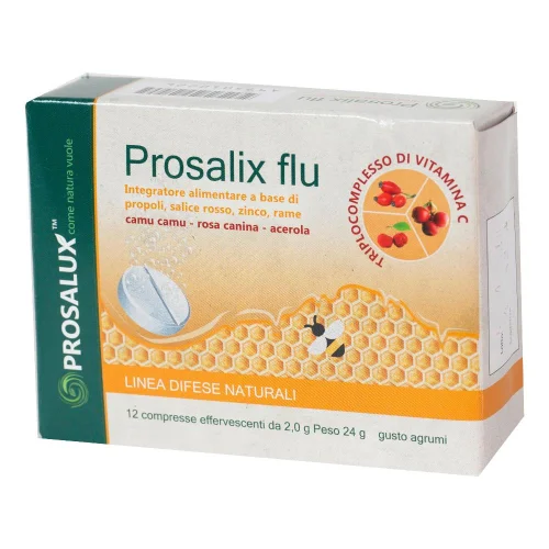 PROSALIX FLU 12CPR EFFERV