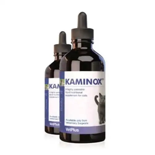 KAMINOX SCIROPPO 60 ML