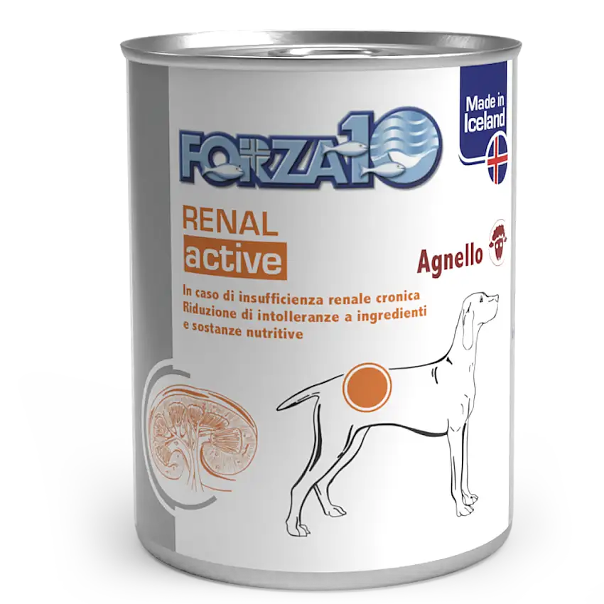 Forza10 Actiwet Renal Cibo Umido Cani Adulti Barattolo 390g