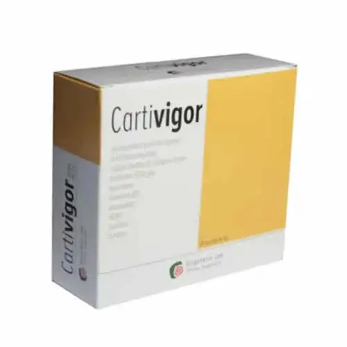 CARTIVIGOR 20 BUSTINE