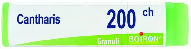 CANTHARIS 200CH GL 1G