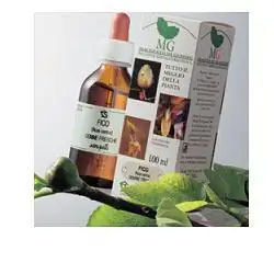 RIBES MACERATO GLICERICO 100 ML