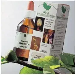 BETULLA MACERATO GLICERICO 100 ML