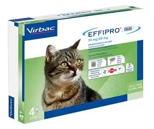 EFFIPRO DUO*4PIP 1-6KG GATTI