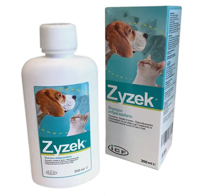 ZYZEK SHAMPOO ANT*FL PE 200ML