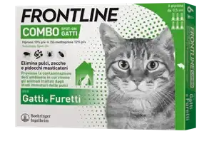 FRONTLINE COMBO*6PIP GATTI/FUR