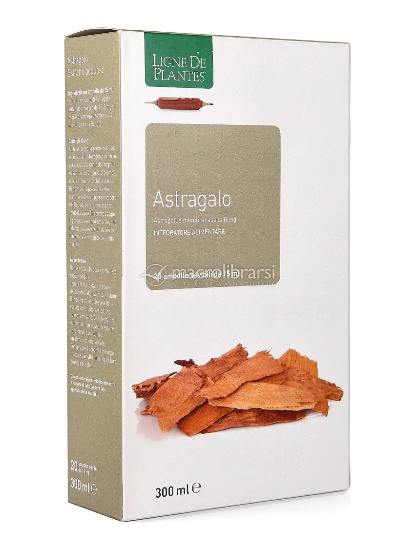 Astragalo