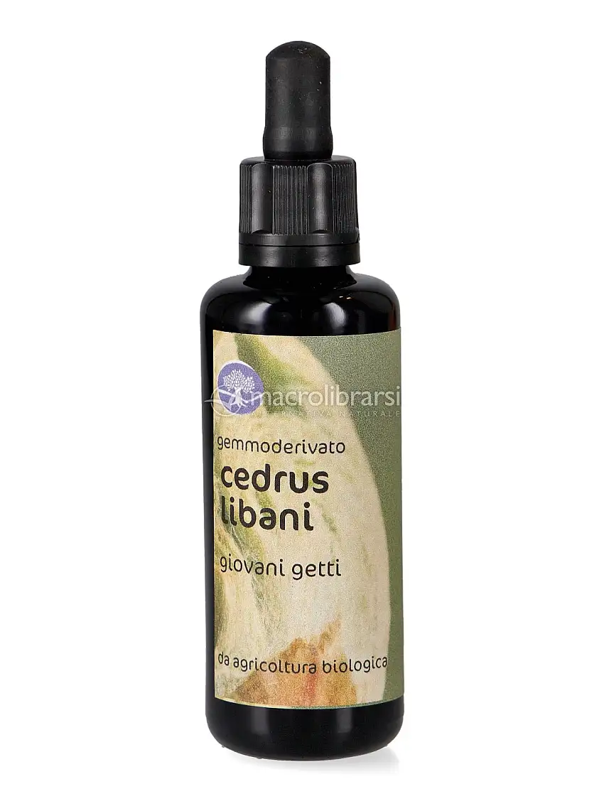 Cedrus Libani - Gemmoderivato Floripotenziato - Giovani Getti