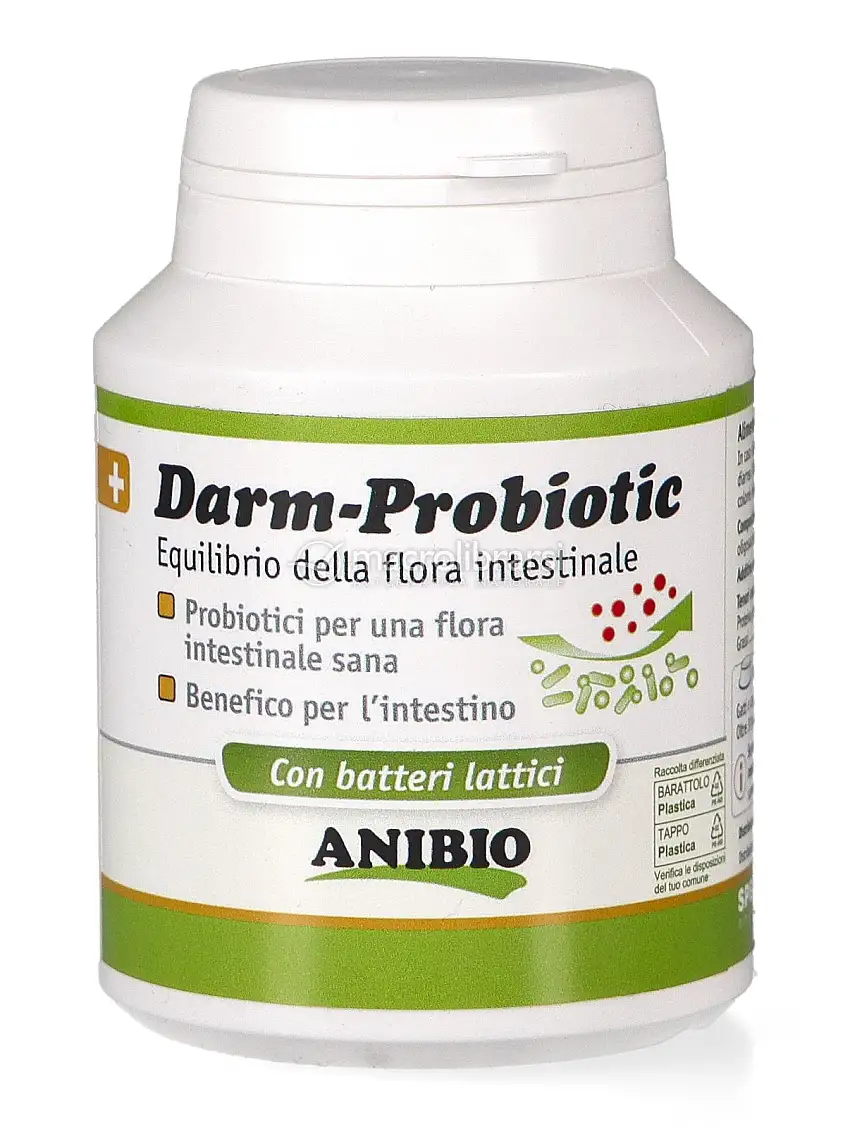 Darm Probiotic
