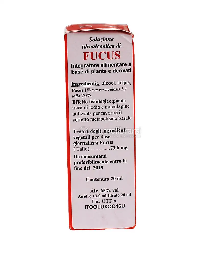 Fucus - TS 8