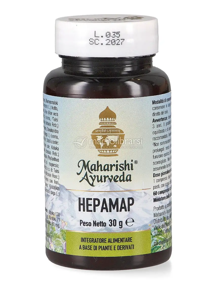 Hepamap
