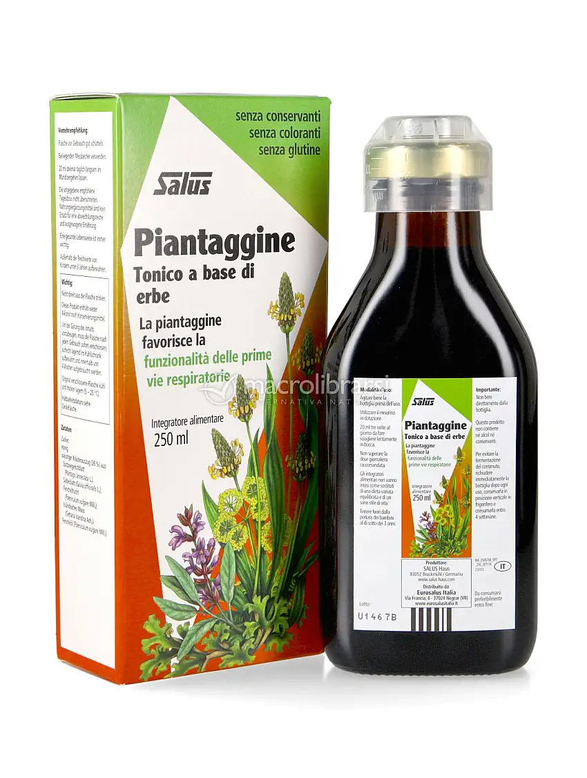 Piantaggine