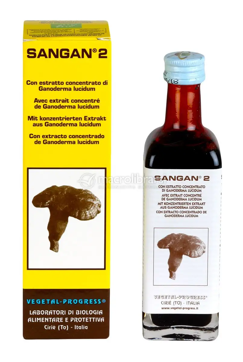 Sangan 2