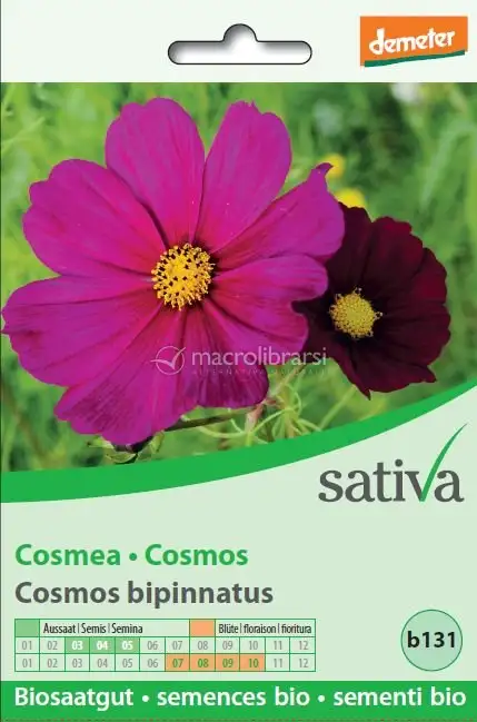 Semi di Cosmea