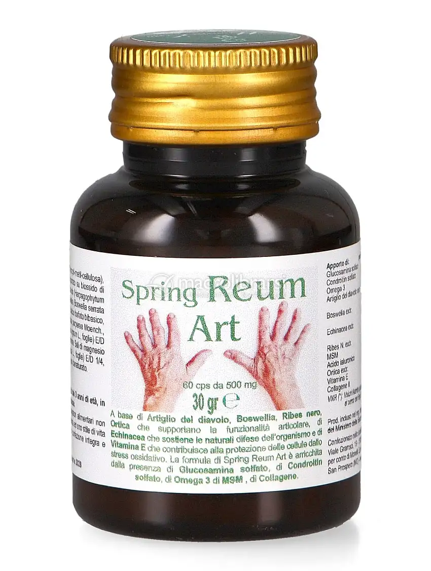 Spring Reum Art