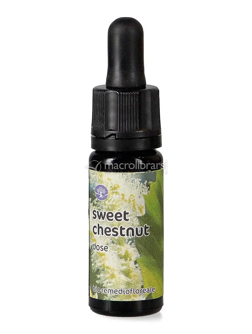 Sweet Chestnut - Dose